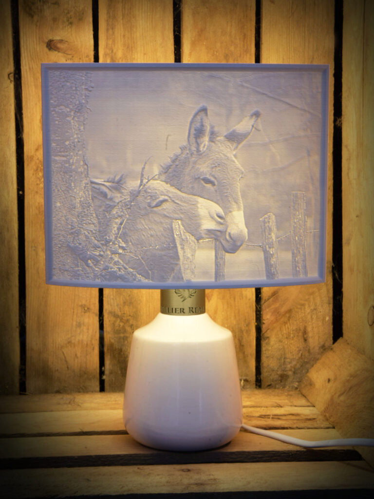 Lampe personnalisée photo animaux